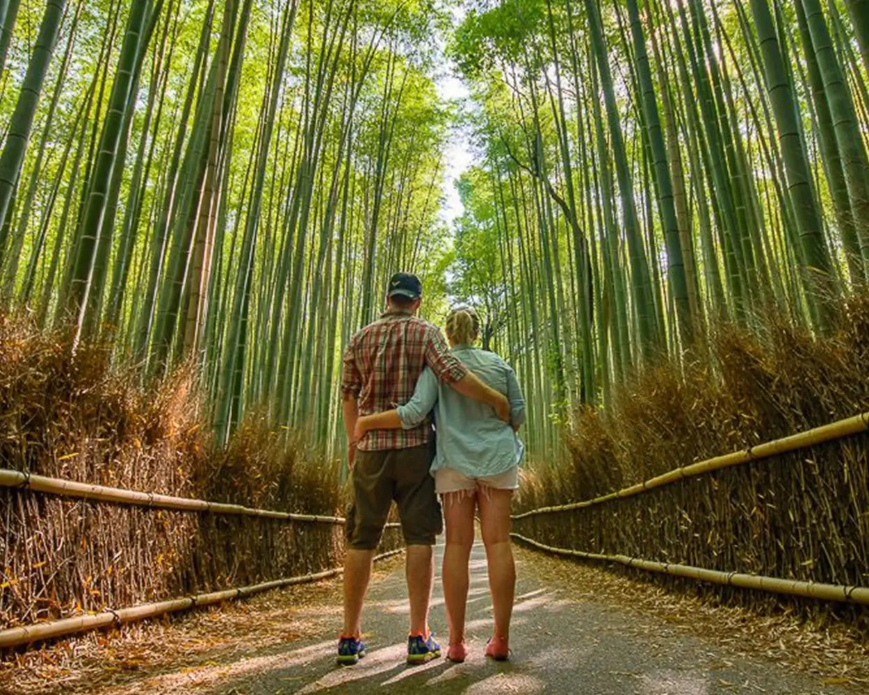 Bamboo Forest Travel