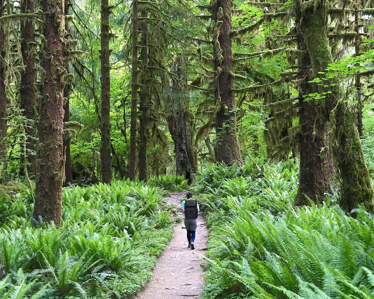 Jungle adventure, leisure travel, travel backpack for men