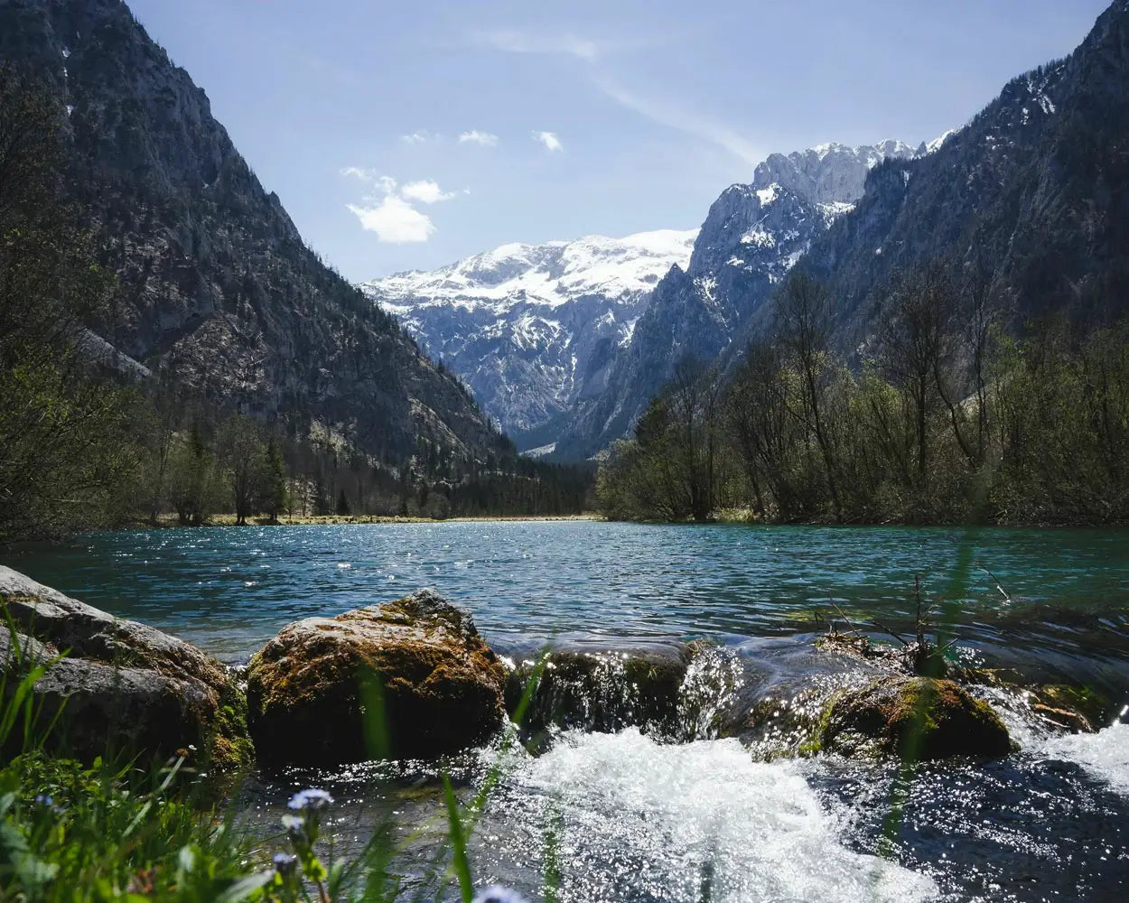 Natural Landscape Environmental Protection Sustainable Development Plan Witzman